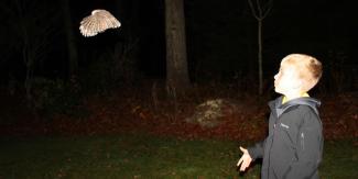 boy watching owl fly away