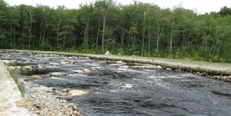 water flowing over stones