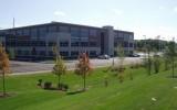 trees and bushes planted next to parking lot across from large brick building