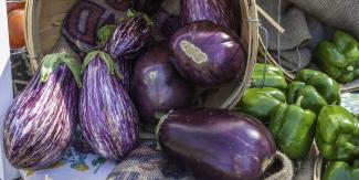 eggplants